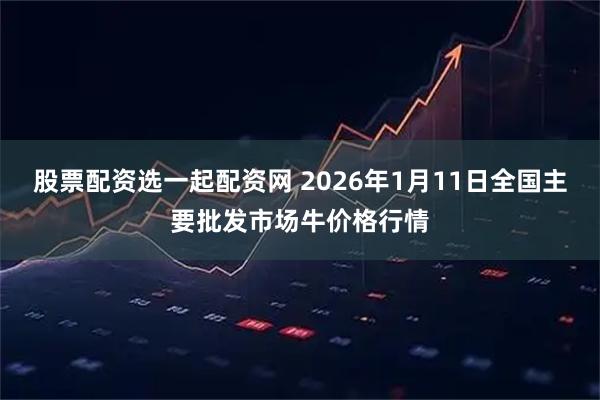 股票配资选一起配资网 2026年1月11日全国主要批发市场牛价格行情